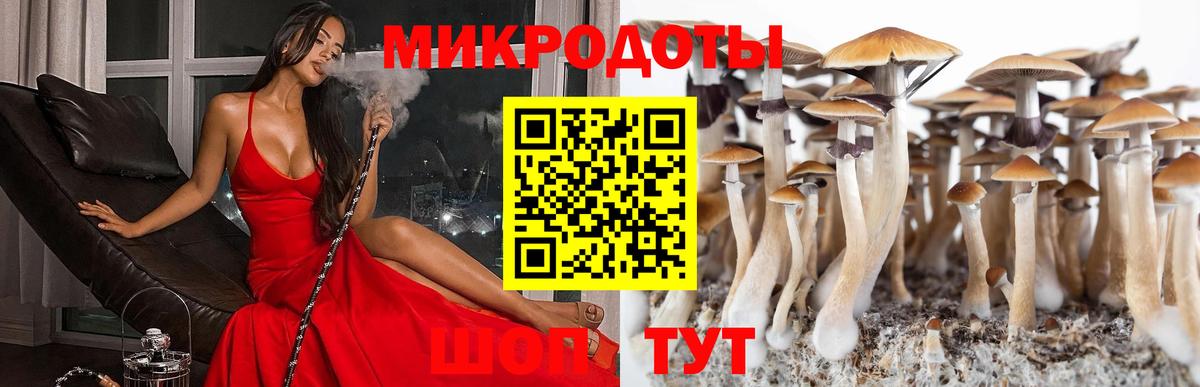 Псилоцибиновые грибы прущие грибы Острогожск