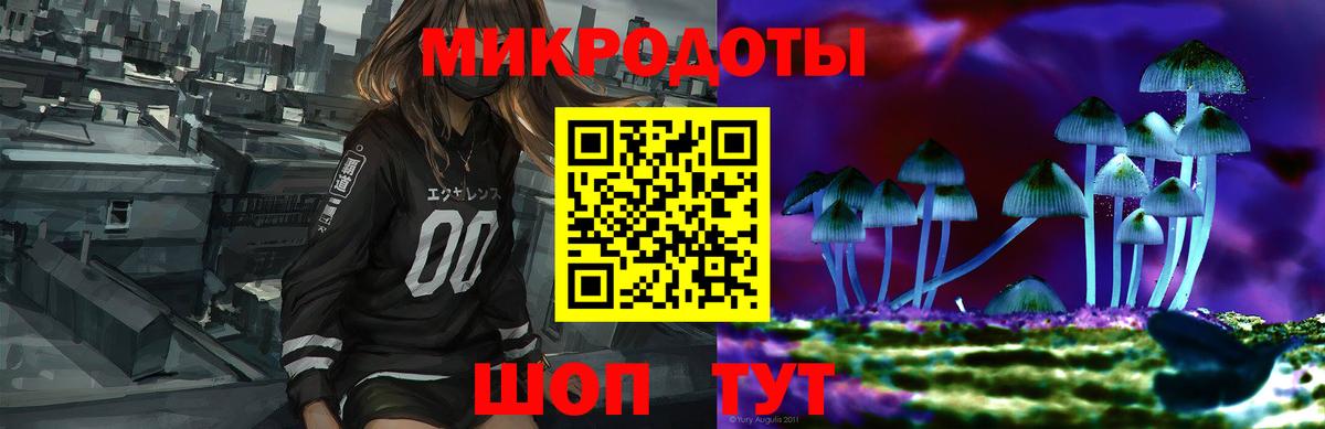 Острогожск  Галлюциногенные грибы Cubensis  Вход с VPN 